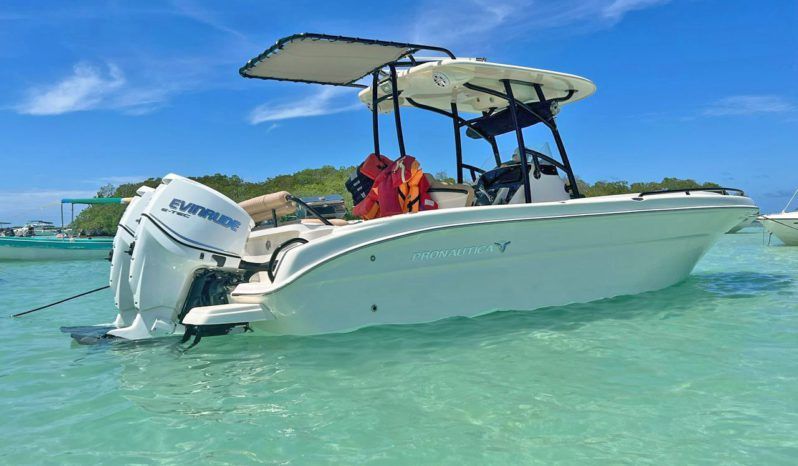 PROMARINE OPEN 24 full