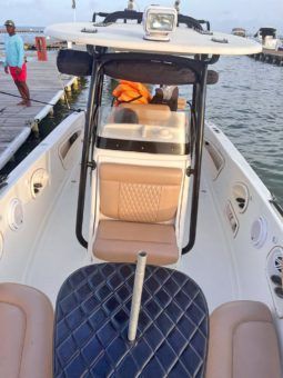 PROMARINE OPEN 24 full