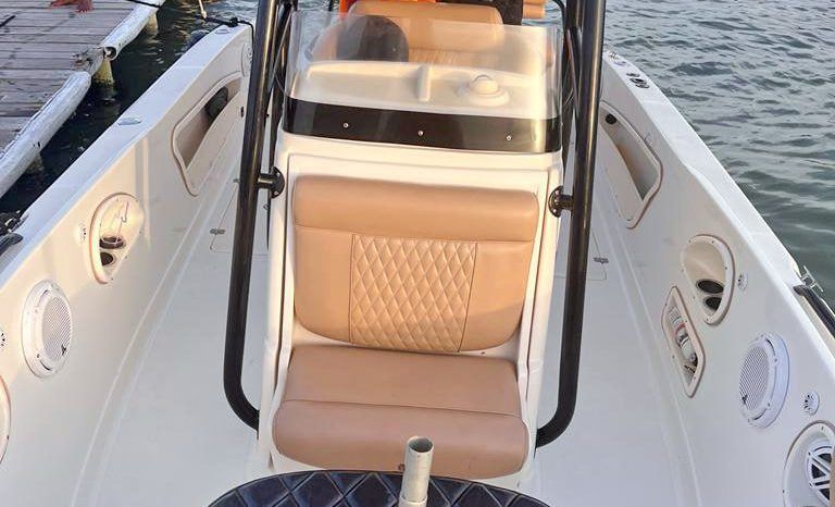 PROMARINE OPEN 24 full