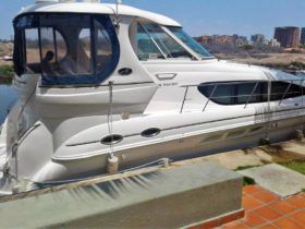 SEA RAY 390 MOTOR YACHT 39