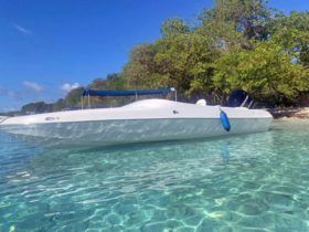 BLACK JACK DEPORTIVA 21