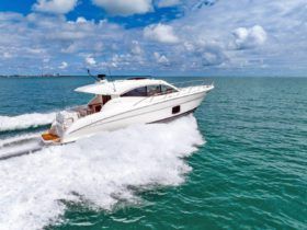 MARITIMO C50 SPORTS CABRIOLET 50