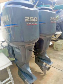 
										PROMARINE 33 1000 SS full									