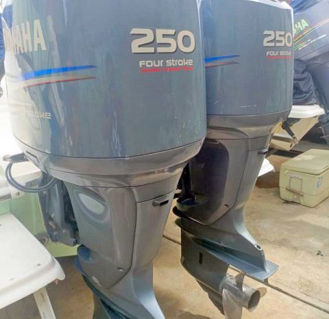 
								PROMARINE 33 1000 SS full									