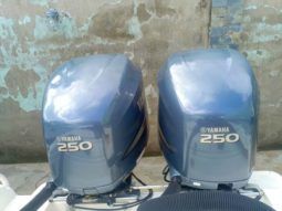 
										PROMARINE 33 1000 SS full									