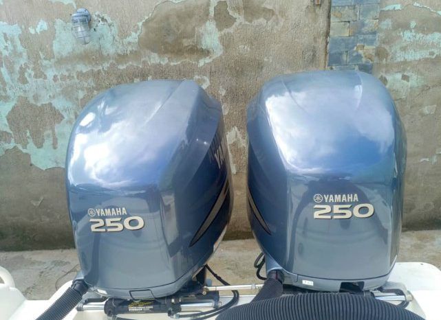 
								PROMARINE 33 1000 SS full									