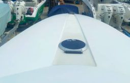 
										PROMARINE 33 1000 SS full									