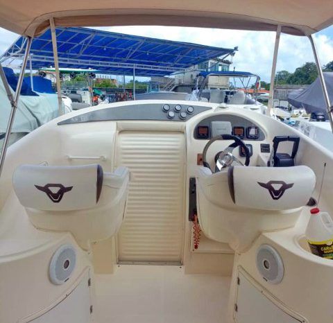 
								PROMARINE 33 1000 SS full									