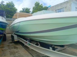 
										PROMARINE 33 1000 SS full									