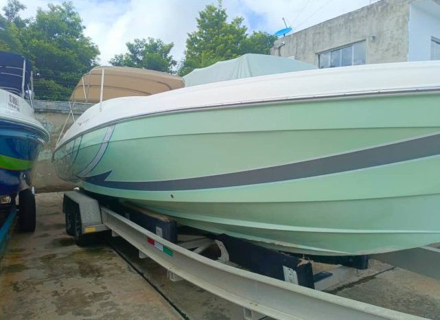 
								PROMARINE 33 1000 SS full									