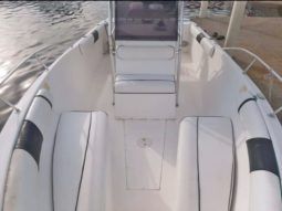 ANGLER 29 full