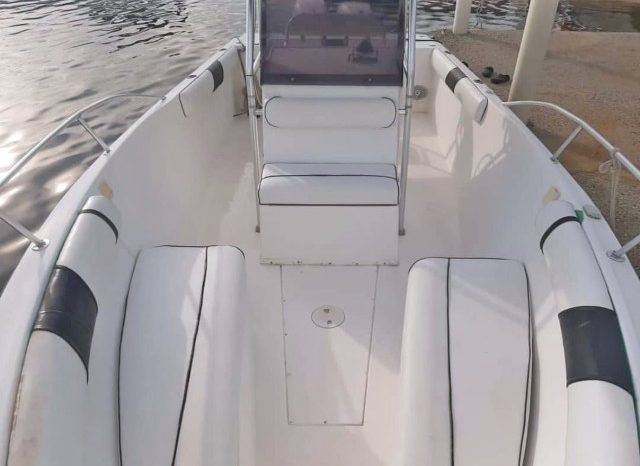 ANGLER 29 full