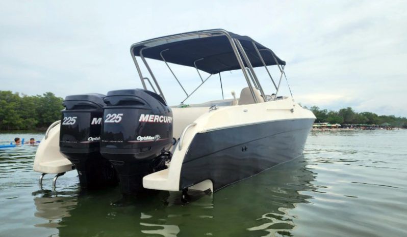 
								BLACK JACK 31.2 full									