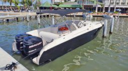 
										BLACK JACK 31.2 full									