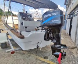 PEÑERO FIBRA OPEN 24 full