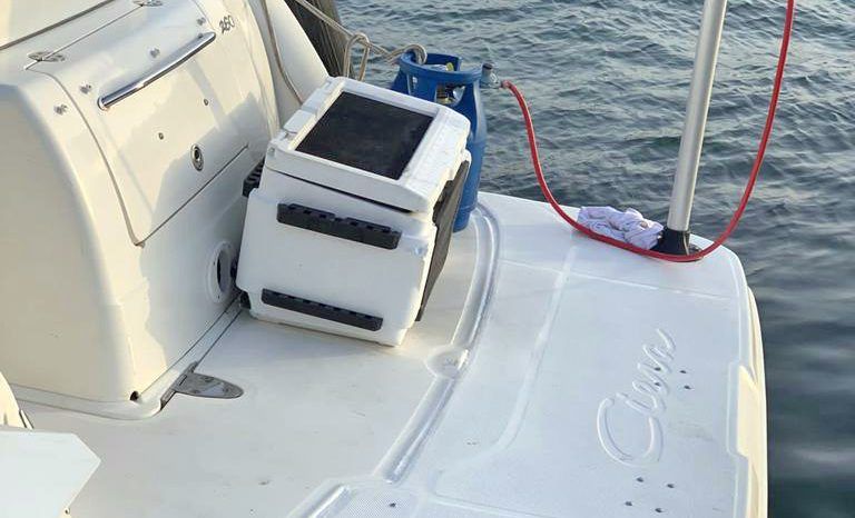 SEA RAY SUNDANCER 260 26 full