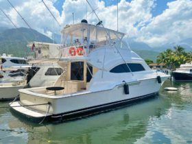 BERTRAM CONVERTIBLE 57