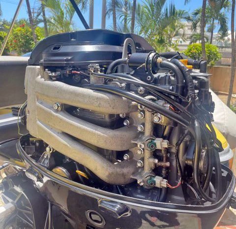 
								DINGHY CARIBE 15 full									