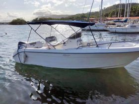 INTERMARINE CC230 24