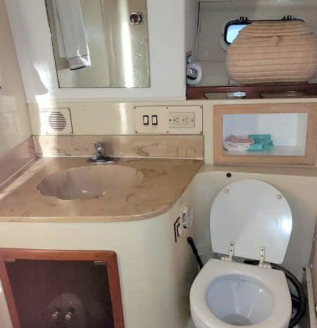 
								FENIX 38 full									
