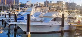 FENIX 38