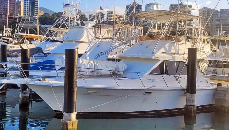 
								FENIX 38 full									