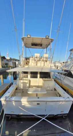 
										FENIX 38 full									