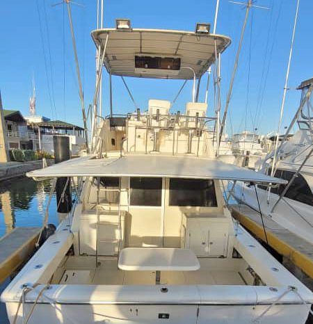 
								FENIX 38 full									