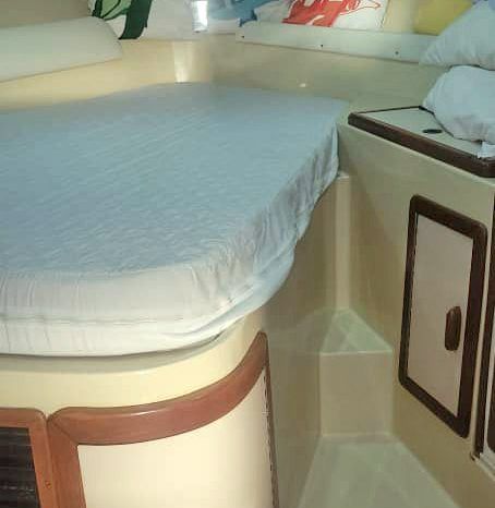
								FENIX 38 full									