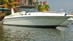 
										SEA RAY SUNDANCER 44 full									