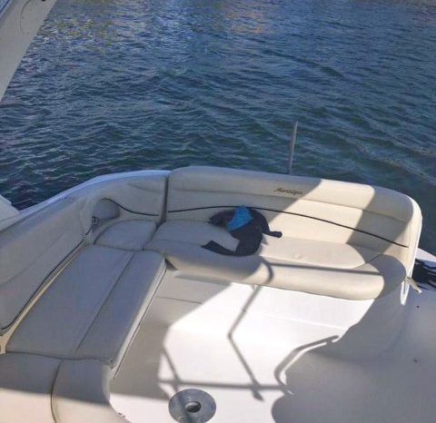 
								WELLCRAFT MARTINIQUE 33 full									