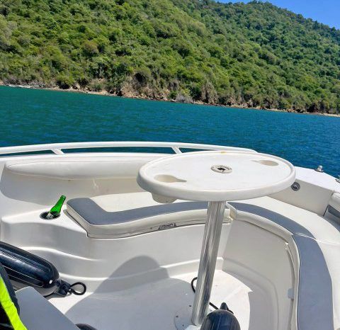 
								PROMARINE OPEN SPORT FISHING 21 full									