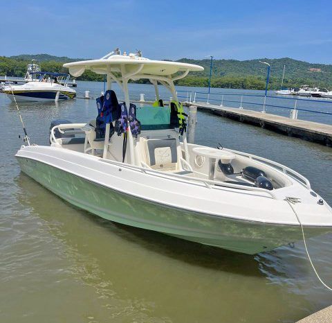 
								PROMARINE OPEN SPORT FISHING 21 full									