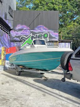 
										PROMARINE OPEN 21 full									