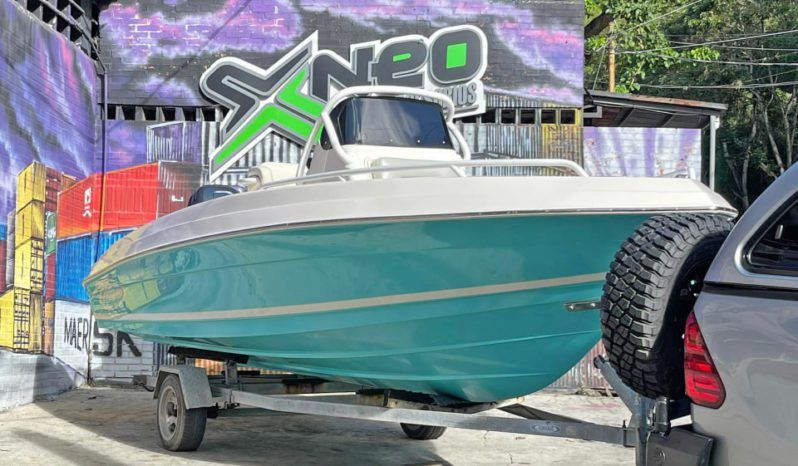 
								PROMARINE OPEN 21 full									