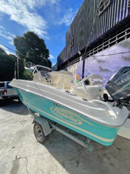
										PROMARINE OPEN 21 full									
