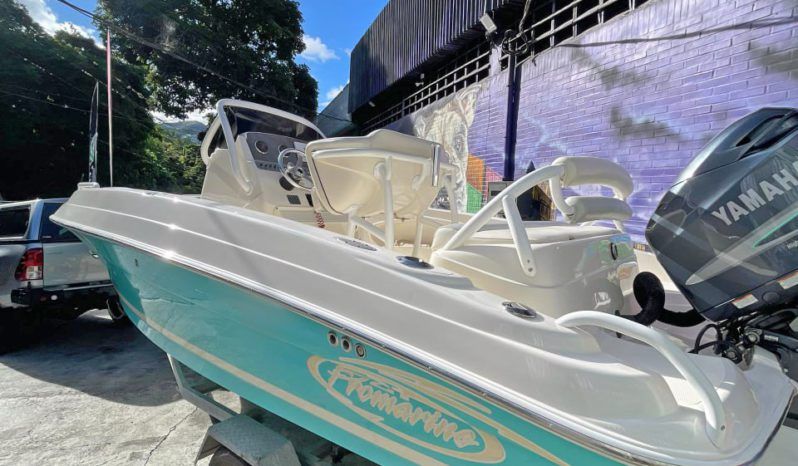 
								PROMARINE OPEN 21 full									