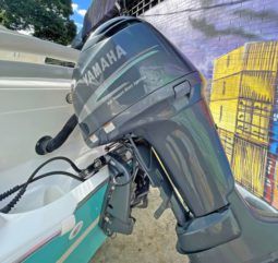 
										PROMARINE OPEN 21 full									
