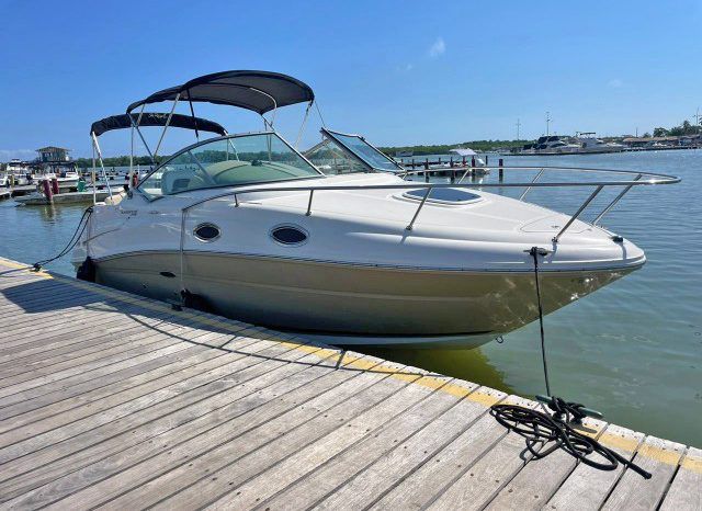 
								SEA RAY SUNDANCER 240 24 full									