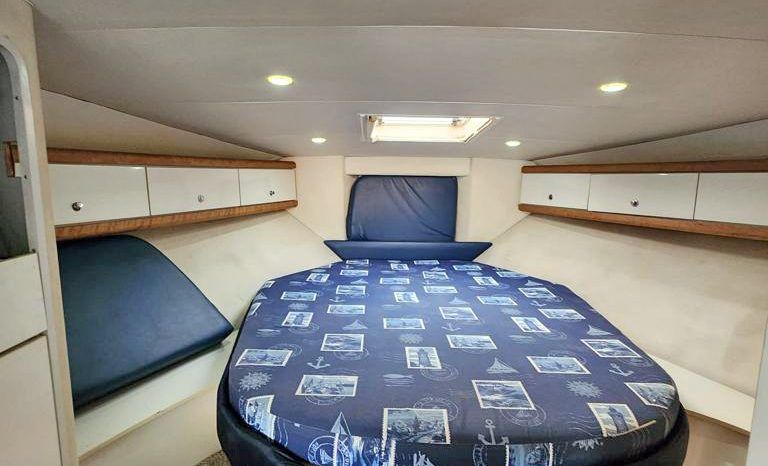
								TROJAN 38 full									