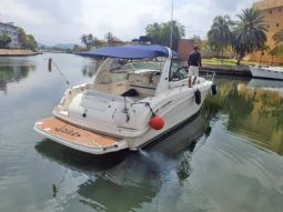 
										SEA RAY SUNDANCER 36 full									