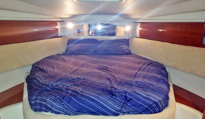 
								SEA RAY SUNDANCER 36 full									