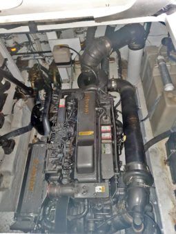 
										SEA RAY SUNDANCER 36 full									