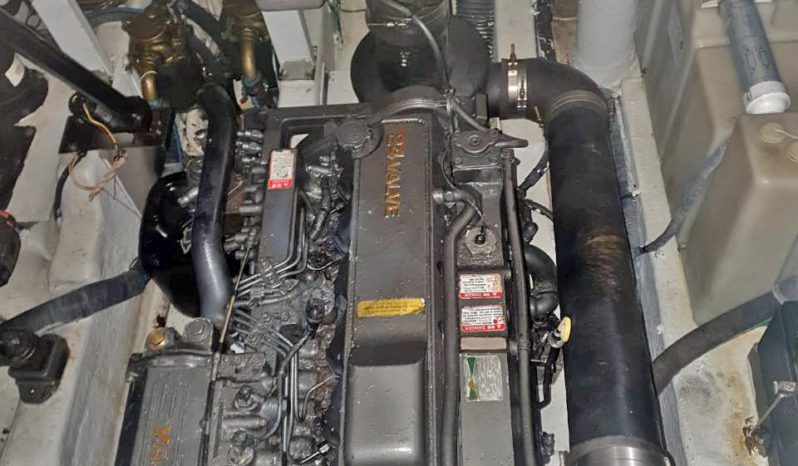 
								SEA RAY SUNDANCER 36 full									