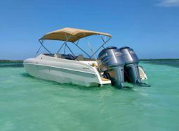 
										BLACK JACK SPORT 27 full									