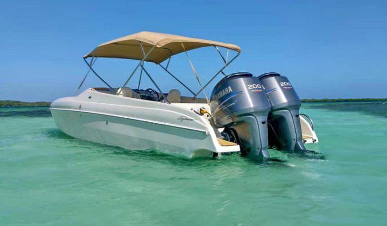 
								BLACK JACK SPORT 27 full									