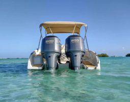 
										BLACK JACK SPORT 27 full									
