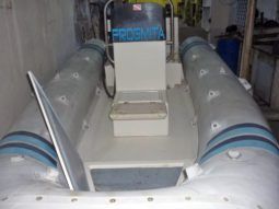 DINGHY FROGMITA 14 full