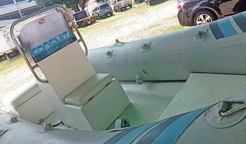 DINGHY FROGMITA 14 full