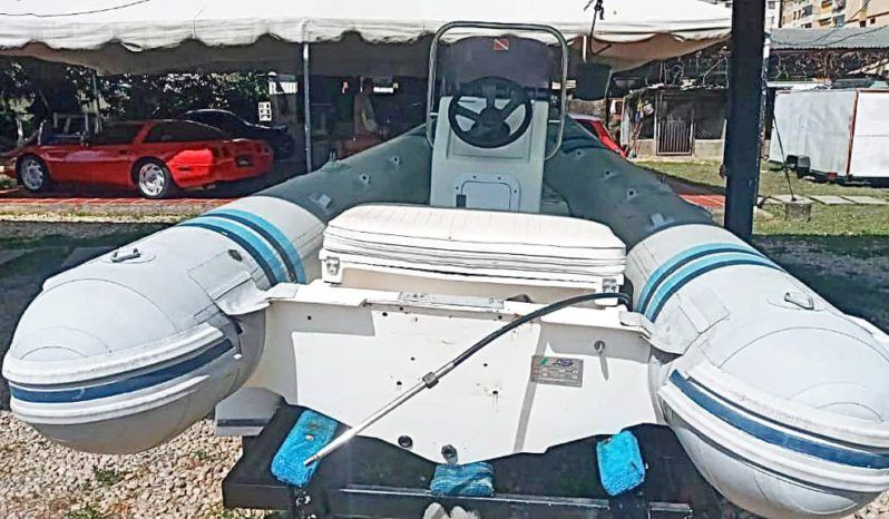 DINGHY FROGMITA 14 full